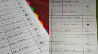 Viral Teman Tempelkan Mayat Nyamuk di Buku, Penyebab Kematian Bikin Melongo