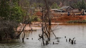 Sejumlah pohon bakau (mangrove) mati diduga akibat aktivitas penambangan pasir di kawasan Nongsa, Batam, Kepulauan Riau, Senin (1/11/2021).  ANTARA FOTO/Teguh Prihatna