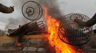 Petugas membakar kandang burung merpati aduan usai dibongkar di kawasan Karang Asem, Surabaya, Jawa Timur, Senin (1/11/2021).  ANTARA FOTO/Didik Suhartono