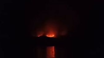 Pulau Rinca, Habitat Utama Komodo di Manggarai Barat, Dilanda Kebakaran