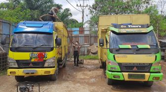 Polisi memeriksa dua unit mobil pembawa minyak yang terparkir saat razia tempat pengoplosan minyak mentah ilegal di Mendalo Darat, Jambi Luar Kota, Muarojambi, Jambi, Rabu (3/11/2021). ANTARA FOTO/Wahdi Septiawan
