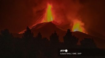 Industri Perkebunan Pisang Rugi 116 Juta Dolar AS Akibat Letusan Gunung Cumbre Vieja