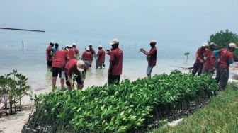 Cegah Abrasi di Kepulauan Seribu, Masyarakat Diimbau Perbanyak Tanam Bibit Mangrove