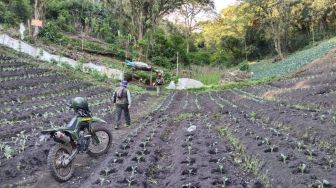 Banjir Bandang Kota Batu Dipicu Kondisi Hutan Lindung Gunung Arjuna yang Kritis