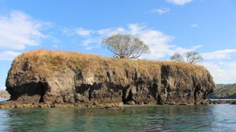 5 Fakta Pulau Ular di Bima Nusa Tenggara Barat