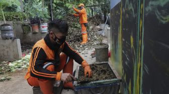 Petugas penanganan prasarana dan sarana umum (PPSU) membudidayakan ulat maggot untuk mengurai sampah organik di Tempat Pengolahan Sampah Terpadu Grogol Selatan, Kebayoran Lama, Jakarta, Kamis (4/11/2021). [Suara.com/Angga Budhiyanto]