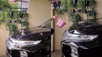 Viral Emak-emak Mandikan Mobil Pakai Air Kembang, Komentar Warganet Terbelah