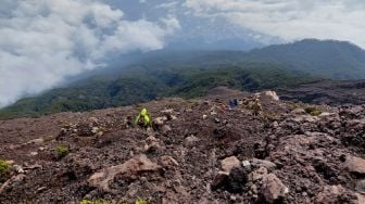 Jalur Pendakian Gunung Slamet Ditutup Sampai Kapan? Ribuan Pendaki Batal Muncak!