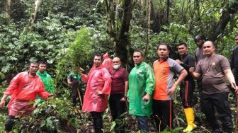 Polisi Temukan Ladang Ganja di Kaki Gunung Kerinci Jambi