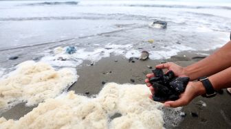 Wisatawan memperlihatkan batu bara yang terdampar dibawa arus laut di pantai wisata Ulee Lheu, Banda Aceh, Aceh, Jumat (5/11/2021).  ANTARA FOTO / Irwansyah Putra