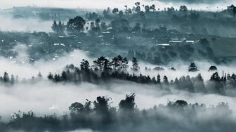 Selalu Berselimut Awan, Panorama dari Atas Gunung Sang Legenda Sangkuriang