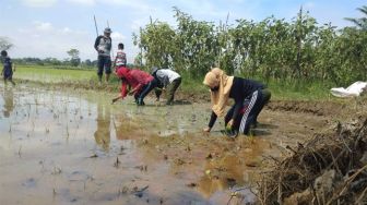 Data BPS: Upah Rata-rata Buruh Naik Tipis Kisaean 0,01 Hingga 0,17 Persen