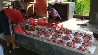 Tradisi Mepatung Daging Babi Jelang Galungan di Jembrana Bali