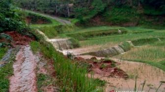 Tanggul Irigasi Jebol, Puluhan Hektar Sawah di Cianjur Terendam Banjir