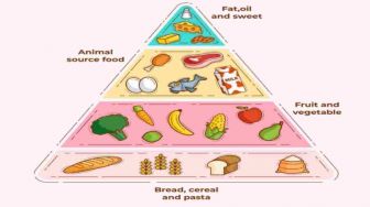 Piramida Makanan, Pengertian Hingga Manfaat, Sering Disebut Tumpeng Bergizi