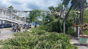 Pohon Beringin Tumbang Timpa Sejumlah Mobil dan Motor di Jalan Otista Raya