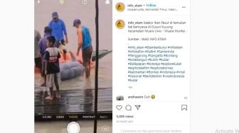 Lagi Pesut Hamil Mati di Perairan Sungai Mahakam Kukar, Warganet Sedih: Duh