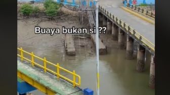 Tanya Hewan Bergerak di Bawah Jembatan, Warganet Malah Beri Jawaban Kocak