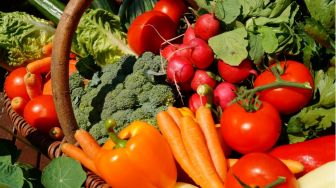 Penting bagi Tubuh, Berikut 5 Manfaat Serat yang Terkandung dalam Makanan