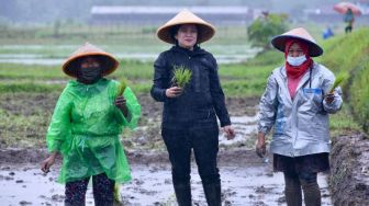 Menanam Padi Hujan-hujan, Puan: Biarkan Masyarakat Nanti yang Memanen