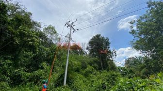 Kucurkan Investasi Senilai Rp. 5,4 Milyar, PLN Nyalakan Listrik 2 Desa 