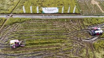 Petani mengoperasikan mesin pemotong padi saat panen raya petani milenial di areal persawahan Desa Gembongan, Banyusari, Karawang, Jawa Barat, Senin (15/11/2021). ANTARA FOTO/M Ibnu Chazar
