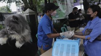 Vaksinator bersiap menyuntikkan vaksin rabies ke kucing di halaman Kantor Kelurahan Kebon Baru, Tebet, Jakarta, Selasa (16/11/2021). [Suara.com/Angga Budhiyanto]