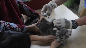 Vaksinasi Hampir 100 Persen, Sekolah Tatap Muka di Batam Akan 