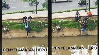 Viral Aksi Penyelamatan Anak Kucing, Banjir Pujian dari Warganet