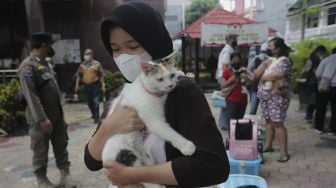 Warga membawa kucing peliharaan usai divaksinasi rabies gratis di halaman Kantor Kelurahan Kebon Baru, Tebet, Jakarta, Selasa (16/11/2021). [Suara.com/Angga Budhiyanto]