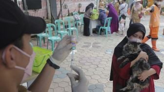 Vaksinator bersiap menyuntikkan vaksin rabies ke kucing di halaman Kantor Kelurahan Kebon Baru, Tebet, Jakarta, Selasa (16/11/2021). [Suara.com/Angga Budhiyanto]