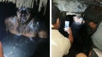 Viral Warga Temukan Sosok Menyeramkan di Gorong-Gorong, Publik: Kasihan tapi Kesal