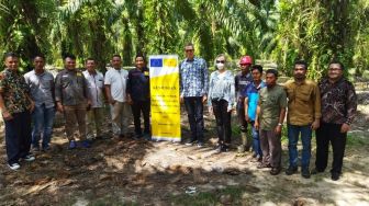 Dubes Uni Eropa Kunjungi Sawit Rakyat di Siak dan Rokan Hulu Riau