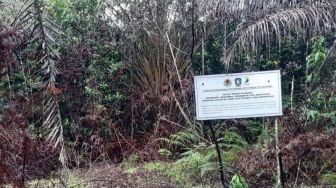 Hutan di Gunung Lengkuas Bintan Dirusak, Polisi Periksa Pemilik Lahan