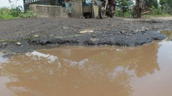 Mirip Kolam, Begini Kondisi Jalan Penghubung Antar Kecamatan di Jember