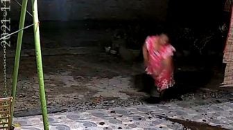 Aksi Wanita di Sumut Siram Kotoran Hewan ke Rumah Tetangga Terekam CCTV