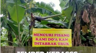 Keras! Spanduk Peringatan Dilarang Mencuri Pisang Ini Bikin Orang Ketar-ketir