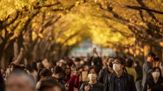 Orang-orang berjalan di bawah pohon ginkgo dalam warna musim gugur di Taman Luar Kuil Meiji, Tokyo, pada (18/11/2021). [PHILIP FONG / AFP]