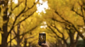 Seorang pengunjung mengambil gambar pohon ginkgo dalam warna musim gugur di Taman Luar Kuil MeijiTokyo, pada (18/11/2021). [PHILIP FONG / AFP]