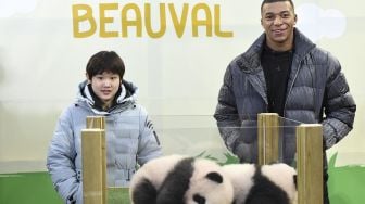 Kylian Mbappe Jadi Wali Baptis Kelahiran Bayi Panda Kembar