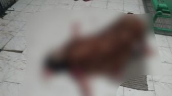 Suami WNA Timur Tengah Diduga KDRT Istri, Sekujur Tubuh Disiram Air Keras