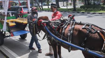 Kusir delman mengecek keadaan kuda saat menunggu wisatawan di Kawasan IRTI Monas, Jakarta Pusat, Minggu (21/11/2021). [Suara.com/Alfian Winanto]