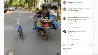 Seekor Monyet Melaju Kencang di Jalan Raya, Diduga Menuju Sirkuit Mandalika