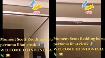 Kocak! Reaksi Scott Reading Lihat Cicak Untuk Pertama Kalinya, 'Welcome to Indonesia'