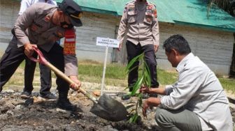 PT SPN Tanam Eboni, Pohon Penghasil Kayu Hitam Khas Sulawesi