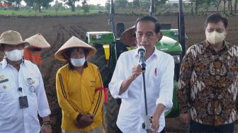 Tanam Jagung di Jeneponto, Jokowi: Tak Usah Impor Lagi