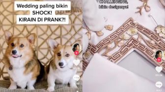 Viral Crazy Rich +62 Bikin Pesta untuk Sepasang Anjing, Pakai Jasa Desainer Profesional!