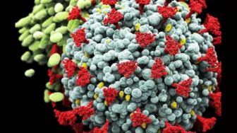 Meski Telah Banyak Bermutasi, Epidemiolog Sebut Varian Virus Covid-19 Belum Melemah
