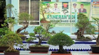 Yuk Lihat Pameran Bonsai di Halaman Kantor Wali Nagari Biaro Gadang Agam