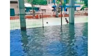Viral, Fenomena Langka Banjir Bak Kolam Renang Airnya Bening Banget, Dimana?